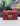 PINKO RED F